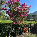 Bed and breakfast La Cannucciola 3*