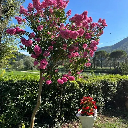 Bed and breakfast La Cannucciola *
