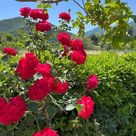 La Cannucciola فندق مبيت وإفطار 3*