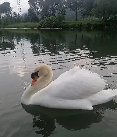 فندق مبيت وإفطار La Cannucciola