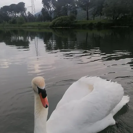La Cannucciola Bed and Breakfast