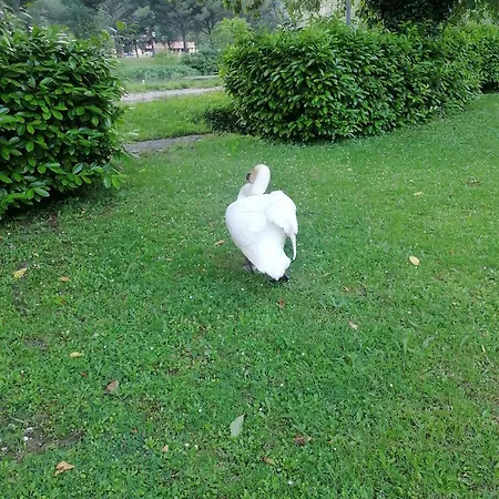 Bed and Breakfast La Cannucciola