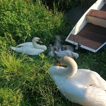 La Cannucciola Couette-café 3*