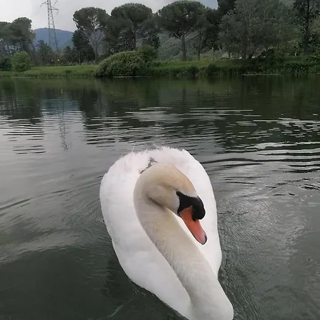 La Cannucciola Couette-café Piediluco