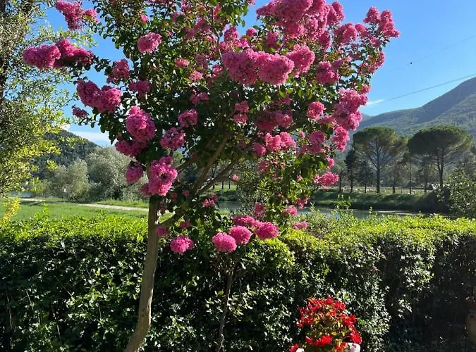 فندق مبيت وإفطار La Cannucciola 3*