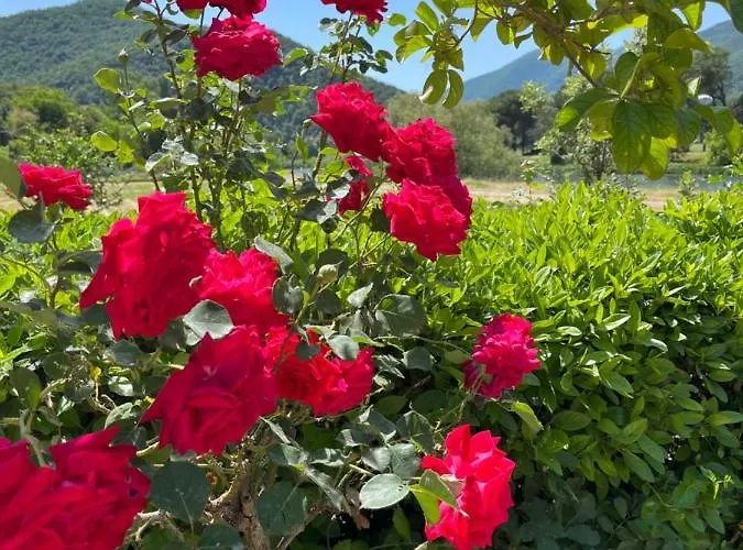 La Cannucciola فندق مبيت وإفطار 3*