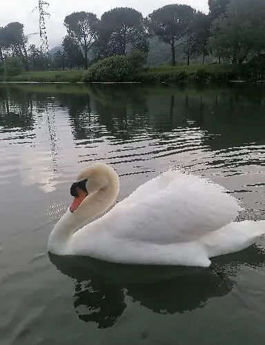 Panzió La Cannucciola