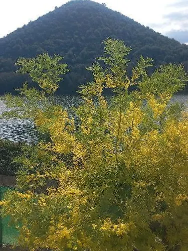 Alojamento de Acomodação e Pequeno-almoço La Cannucciola