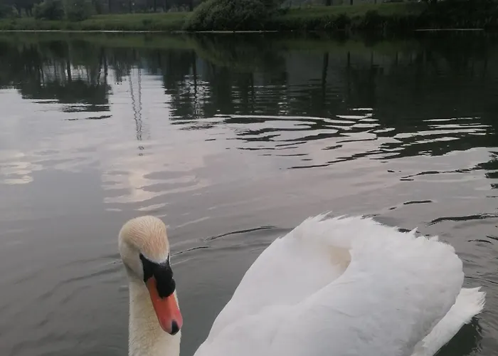 La Cannucciola فندق مبيت وإفطار