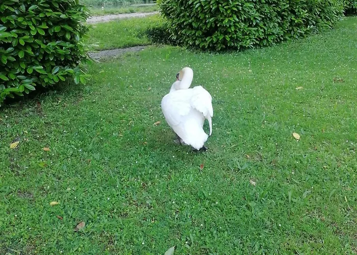 فندق مبيت وإفطار La Cannucciola