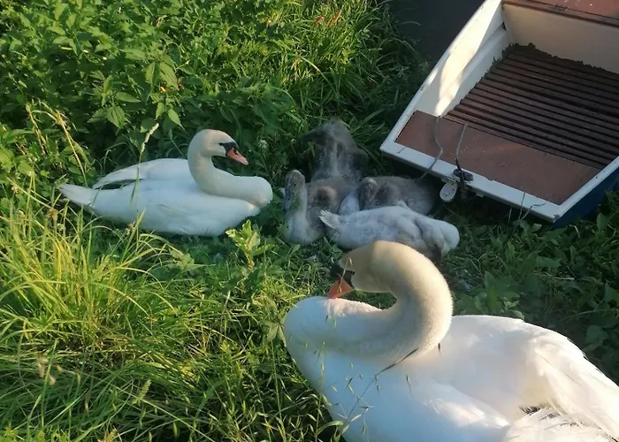 La Cannucciola فندق مبيت وإفطار 3*