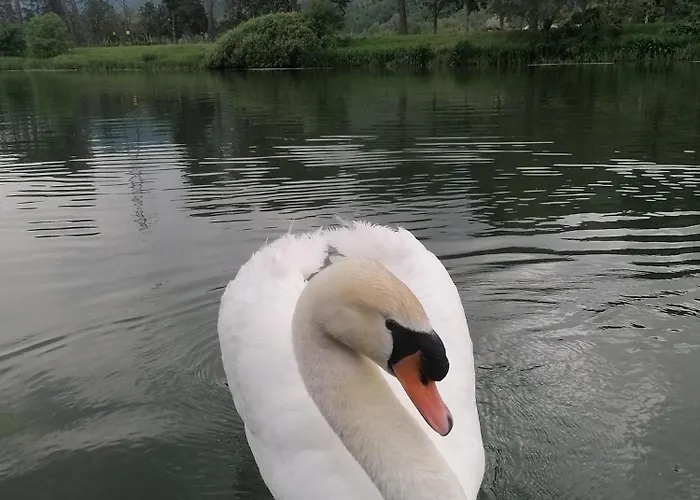 La Cannucciola Alojamento de Acomodação e Pequeno-almoço Piediluco