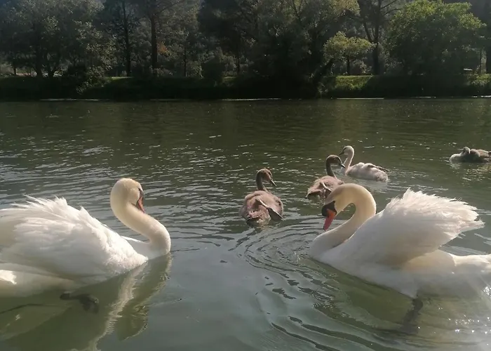 فندق مبيت وإفطار La Cannucciola بيديلوكو